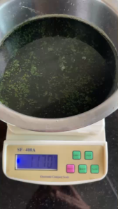 โปรโมชั่น Early Bird ครีมนวดผมสมุนไพรทองพันชั่งออแกนิค (Home Made)ขนาด 300 และ 500 มล.