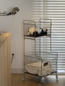 Stylish Bathroom Storage Rack With Wheel