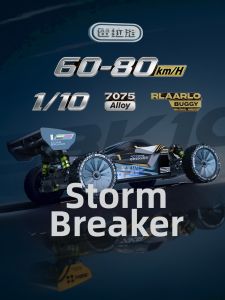 RLAARLO | Professional High-Speed 4WD RC Racing Car