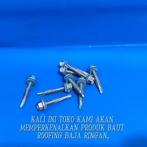 Baut Roofing Baja Ringan Atap Rufing Roping 12mm x 50 (1 Kotak)