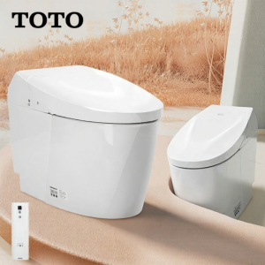 Smart Automatic Toilet