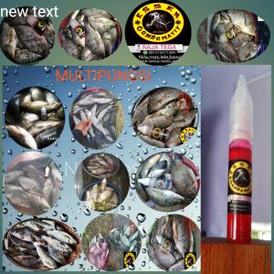 Essen gondomayit merah/15ml