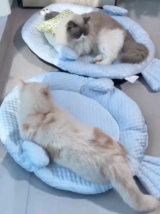 ที่นอนสัตว์เลี้ยง ที่นอนแมว แผ่นเย็นแมว การกระจายความร้อนสูง ฟูนุ่มเต็มอิ่ม แผ่นน้ำแข็ง เตียงสุนัข เตียงแมว คอนโดแมว