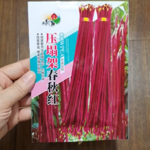 Hạt Giống Đậu Đũa Tím Đỏ Chất lượng cao nhập khẩu china hạt giống đậu dải áo tím đỏ -shop Yến Liên Beauty