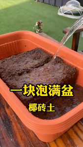 (650g) Coconut brick nutrient soil universal coconut soil coconut bran coarse coconut shell low-salt planting for growing flowers and vegetables