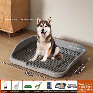 Khay Vệ Sinh Cho Chó Mọi Kích Cỡ Không Gian Lớn Kim Loại