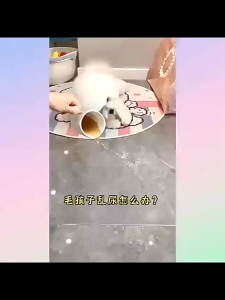 AP AIMAYAPET Pet Urine Paper Fast Absorbent Pee Pad Thickened Dog Urine Pad Absorb Odor Pet Urine Pad