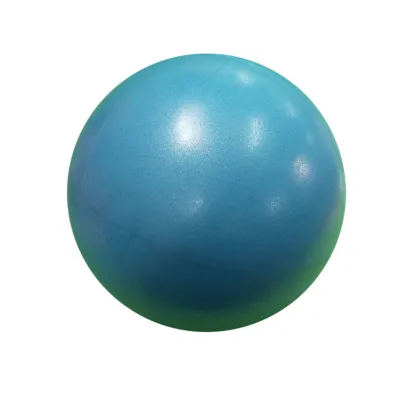 25cm Exercise Gymnastic Fitness Pilates Ball Balance Exercise Gym Yoga Core Ball Indoor Training Equipment мяч для фитнеса