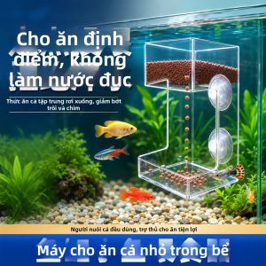 Vòng Cho ăn Acrylic Chống Nổi