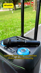 AWEI KT33 Bluetooth Karaoke Trolley Speaker with Karaoke 100W Powerful Sound Long Lasting Playtime Wireless Microphones Colorful RGB Light Stable Bluetooth 5.3 Chip Easy to Carry Trolley Design.