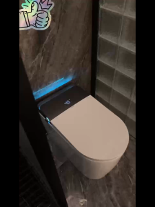 Smart Toilet Bowl Water Tank Automatic bidet spray High Pressure Dual Flush Water Closet ceramic