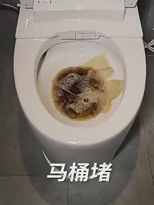 Algn | Dissolving Unblocker Liquid For Kitchens And Toilets