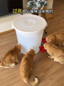 Non-Electric Automatic Cat Drinking Fountain Detachable Pet Water Bowl Self-Filling Water Machine for Cats And Dogs