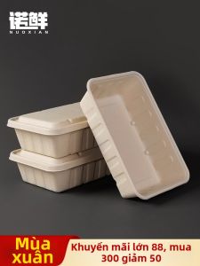 NUOXIAN | Compostable Lightweight Food Salad Box 2500ml