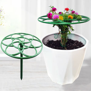 Sunflower shape stand lollipop flower stand crab claw orchid grafted leaf fairy pothos single multi-layer support climbing vine stand