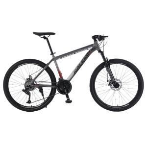 Raleigh | Shock Absorption Variable Speed Mountain Bike