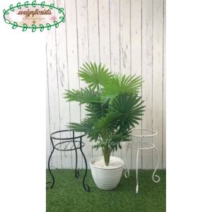 Tanaman Dekorasi Semi Latex: Pohon Hias Daun Palem Kipas Sadeng X18