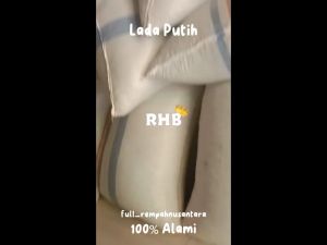 Biji Lada Putih 100gr / Biji Merica Putih Kualitas Premium