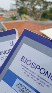 Medtradent - Surgispon Dental Spongostan Biosponge