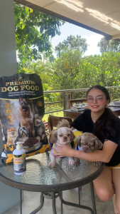 Supremacy Premium Dog Food – Chicken & Salmon Flavor | Premium Nourishment Tailored to Perfection for Optimal Health and Vitality | Crafted with High-Quality Chicken and Salmon to Provide Essential Protein for Lean Muscle Development and Sustained Energy
