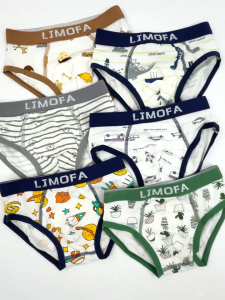 【พร้อมส่งจากกรุงเทพ】🚀 กางเกงในเด็กชาย 6 ตัว สามเหลี่ยม เนื้อผ้าฝ้าย ใส่สบาย ลายการ์ตูน 2-11 ปี