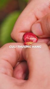 [TẶNG PHIN CÀ PHÊ] Hộp Quà Cà Phê Moka (Thượng Hạng) - 150gr - Cafe Hạt Rang Xay Pha Phin Ban Me Gold - Honee Coffee