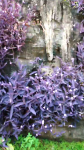 Gatio RQ55 Sandal Gunung Pria dan Wanita Sendal Traveling Hiking Tracking Sol Karet Ringan Lentur Kuat Size 36-43