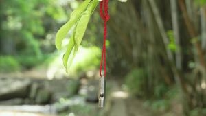 Boundless Voyage Titanium Whistle Emergency Survival Whistles with Lanyard Loud Coaches Training Sports Keychain Whistle