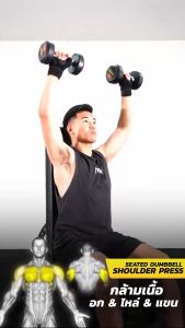 JOIN FITNESS ม้านั่งดัมเบล ม้านั่งยกเวท ม้านั่งออกกำลังกาย(exercise bench)เก้าอี้ซิทอัพ ม้านั่งบริหารร่างกายปรับระดับ มั่นคงแข็งแรง เบาะหนังม เก้าอี้ออกกำลังกาย เก้าอี้ออกกําลังกาย - Lazada