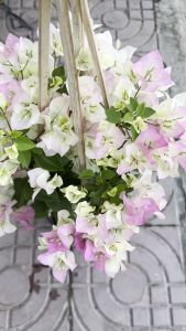 HOA GIẤY CẨM THẠCH TRẮNG  TÍM HỒNG