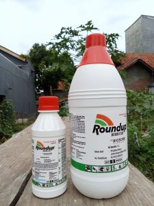 Pembasmi Rumput dan Gulma Herbisida Roundup 486 SL