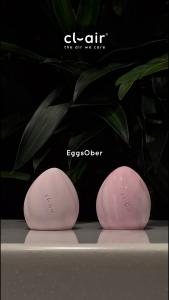 [cl-air EggsOber] Dehumidifier Moisture Absorber SG Local