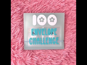 100-day Cash Savings Challenges Book Money Savings Challenge Binder 100 Envelope Challenge Notebook