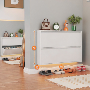 DIBIOU | Ultra-Thin Narrow Entrance Shoe Cabinet Steel