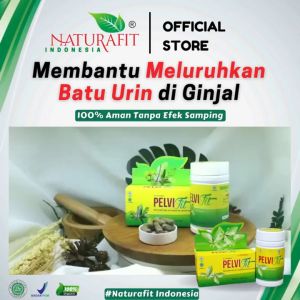 Pelvifit Naturafit Original Herbal Meluruhkan Batu Urin Di Ginjal Dan Saluran Kemih