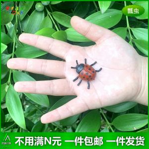 Bộ Đồ Chơi Động Vật Tĩnh Vật Mô Phỏng Nhỏ Bọ Gậy Rắn Sâu Côn Trùng Trẻ Em Mẫu Giáo Đồ Chơi Giáo Dục Sáng Tạo