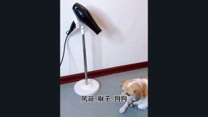 Pet Hair Dryer Bracket Telescopic Stand Multipurpose Pet Grooming Support Floor Stable Round Chassis
