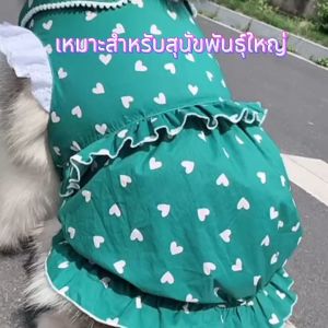 ชุดกระโปรงสีเขียวลายจุดสุดน่ารัก ชุดกระโปรงเจ้าหญิงสุดสวย เสื้อหมา เหมาะสำหรับสุนัขพันธุ์ใหญ่ พร้อมส่ง