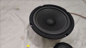 Củ loa bass 20  từ đại 140 công suất 200w gân mút chất cực hay- GIÁ 1 CHIẾC