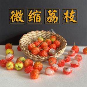 Đồ Chơi Mô Hình Trái Cây Lê Mini Cho Nhà Búp Bê Đồ Trang Trí Bàn Ăn Đồ Dùng Thủ Công Đồ Chơi Mô Hình Đồ Dùng Phim Ảnh Đồ Dùng Thiết Kế Sáng Tạo