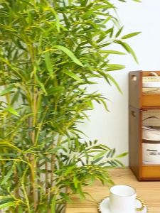 Rak Dapur Kayu Storage Rack 35/50CM Bamboo Kitchen Rack Seasoning Spice Rack Desktop Rack Display Rack 置物架