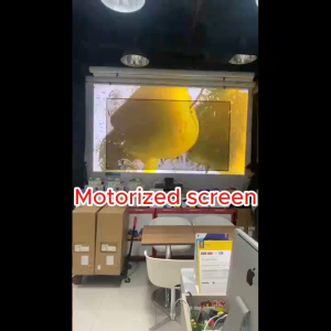 SCREENBOY Motorized Projection Screen 180 Inch อัตราส่วน 4:3 (366 x 274 cm.) MW สามารถออกใบกำกับภาษีเต็มรูปแบบได้