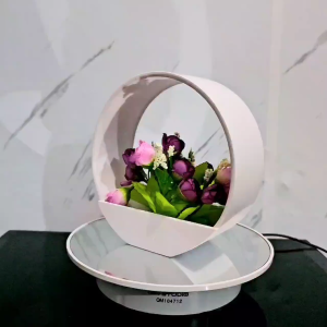 Tanaman Hiasan Bunga Auntum Mini & Pajangan Ruang Tamu Minimalis