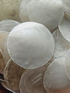 Capiz shells ORIGINAL WASHED ( MALINIS ) 200PCS