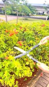 ISKU Gunting Rumput Taman & Gunting Tanaman