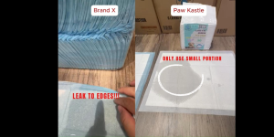 <SG SELLER> PAW KASTLE ABSORBENT PET TRAINING PEE PADS / DOG / CAT / RABBIT / BIRD