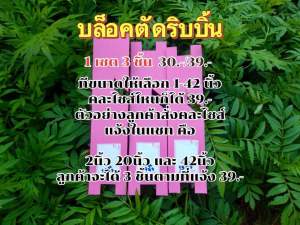 บล็อกตัดริบบิ้น ใช้ตัดริบบิ้นพับเหรียญโปรยทาน ตัดปลายแหลม (1ชุด มี 3 ชิ้น) พร้อมส่ง