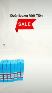 Quần lót Boxer nam Việt Tiến