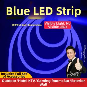 RUILUO | Dải Đèn LED Dẻo Silicone Siêu Sáng Ngoài Trời Chống Nước cho Quảng Cáo và Tạo Không Khí