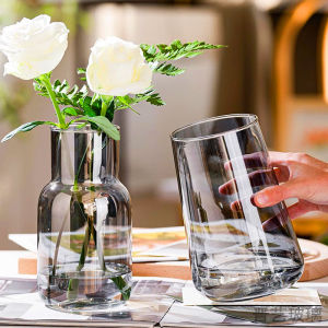 Modern Minimalist Transparent Glass Elegant Vase for Water Cultivation